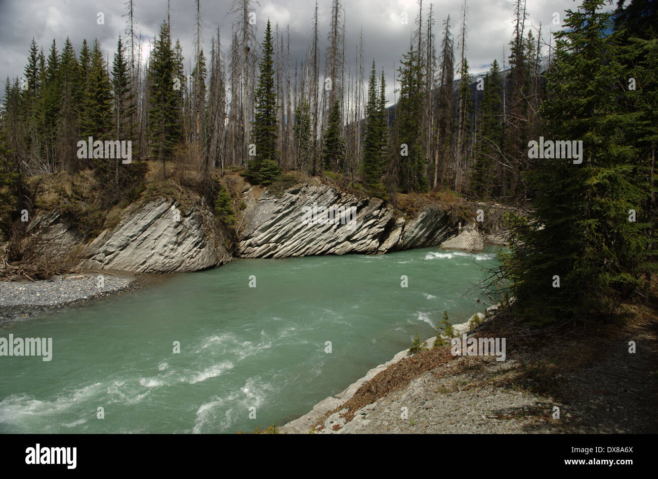 River british columbia kootenays hi-res stock photography and images ...