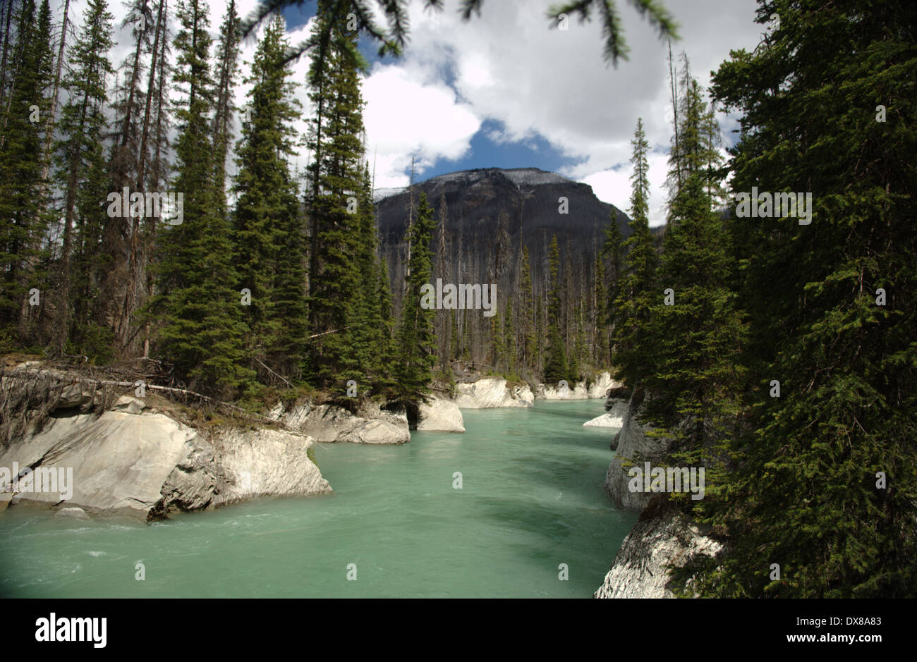 River british columbia kootenays hi-res stock photography and images ...