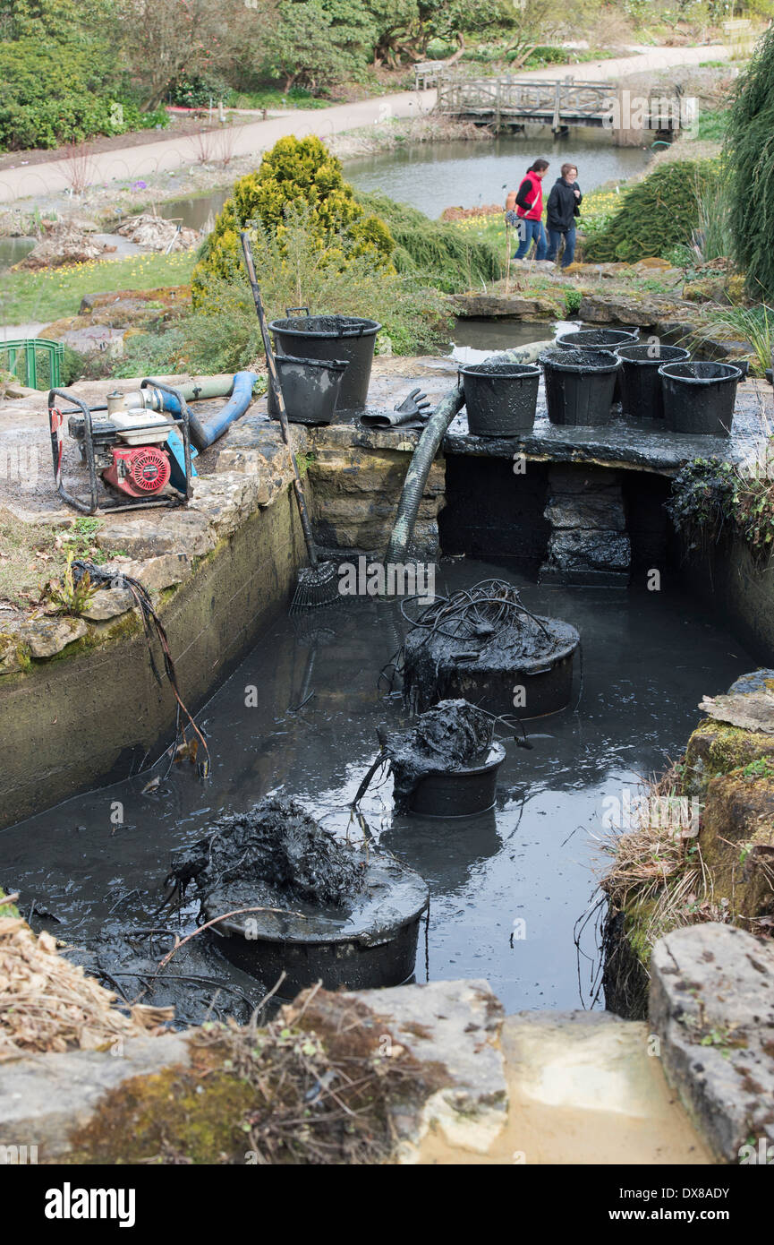 Silt Dredging out ornamental ponds at RHS Wisley Gardens, Surrey, England Stock Photo