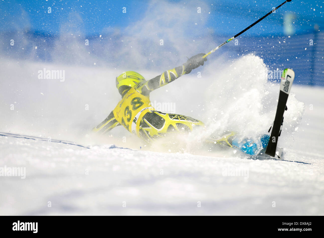 A snow skier falling out of control while racing on the giant slalom ...