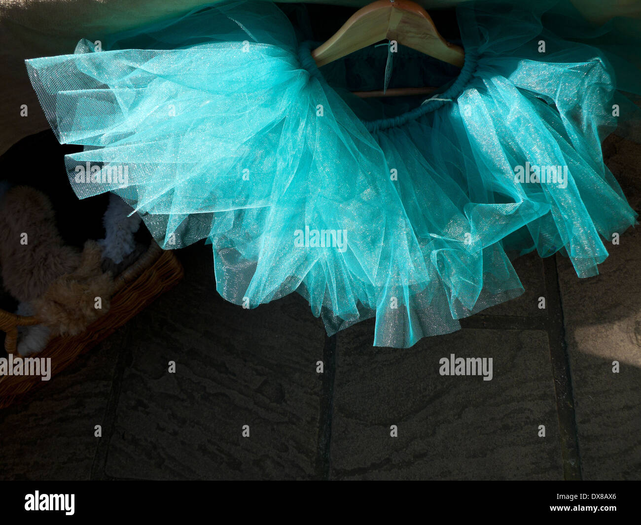 Turquoise net tutu for sale alone on a hanger in a fashion boutique shop in Hackney Rd, Tower Hamlets,  East End, London England E2 UK   KATHY DEWITT Stock Photo