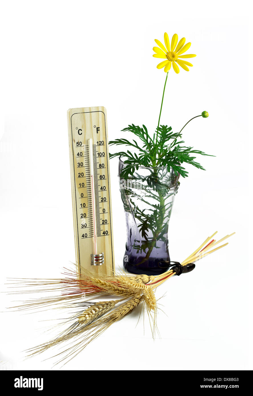 signs of spring isolated on white Stock Photo - Alamy