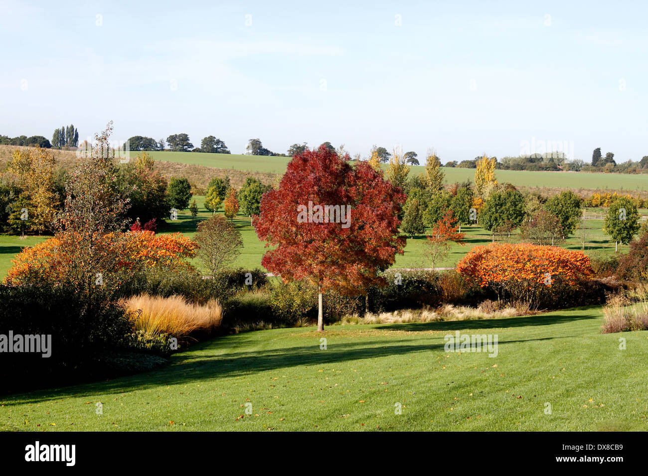 THE  ESSEX COUNTRYSIDE IN AUTUMN. UK. Stock Photo