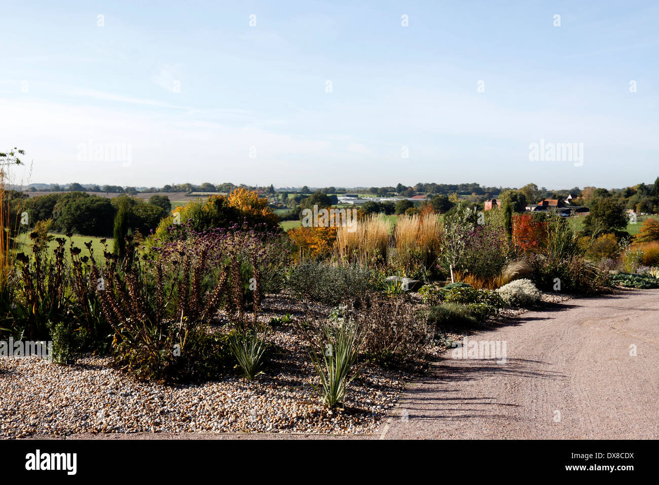 THE DRY GARDEN AT RHS HYDE HALL IN AUTUMN. ESSEX UK. Stock Photo