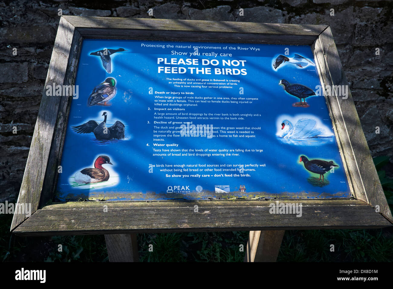 please do not feed the birds public information sign bakewell derbyshire england uk Stock Photo