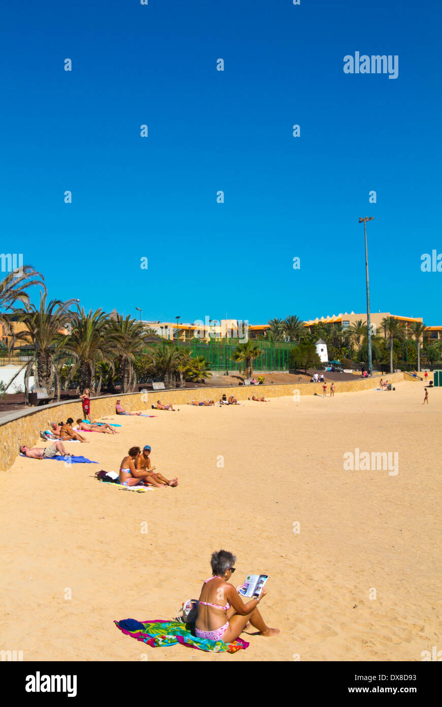 Get Platja dart de la paret de fusta Desktop Wallpaper Free