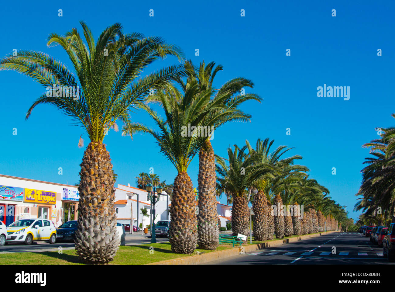 Avenida del Castillo street, Caleta de Fuste, Fuerteventura, Canary Islands, Spain, Europe Stock Photo