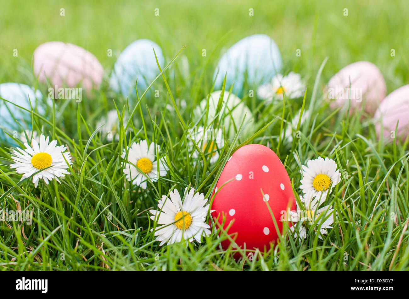 Red Easter egg in a nest of grass and spring flowers Stock Photo
