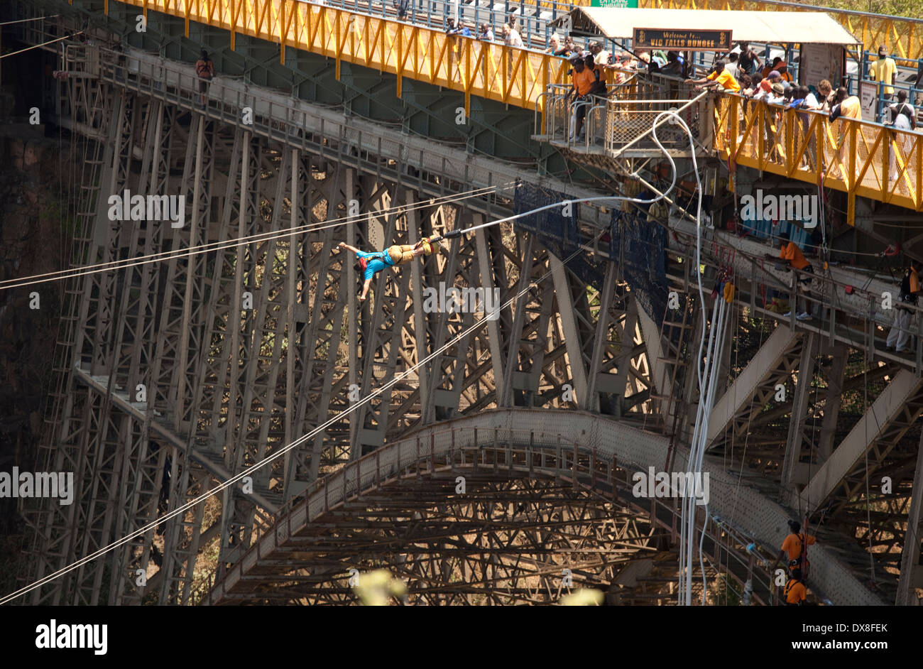 Man bungee jumping from bridge Victoria Falls Livingstone Zambia Stock Photo