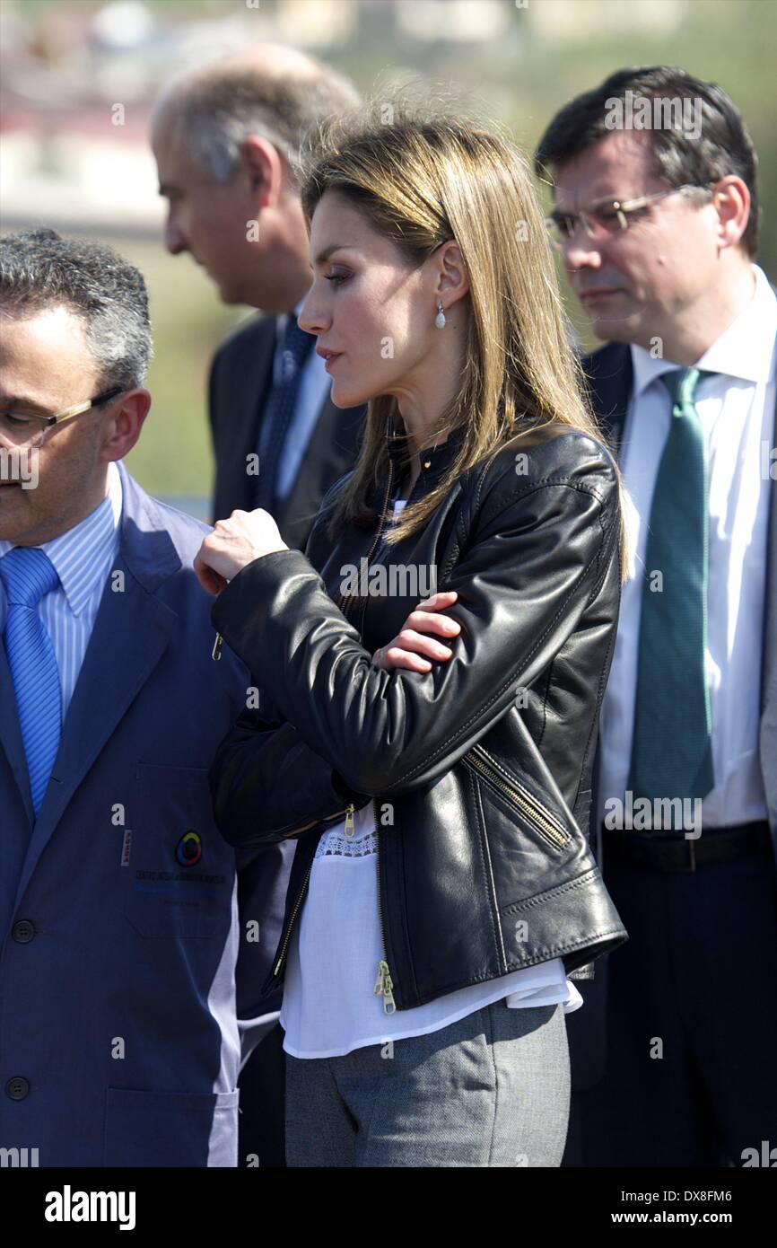 La Felgera, Langreo, Asturias, Spain. 20th Mar, 2014. Princess Letizia of Spain Visits the Integrated Vocational Training Centre 'Maintenance and Production Services' at Technology Valnalon City on March 20, 2014 in Langreo, Asturias Credit:  Jack Abuin/ZUMAPRESS.com/Alamy Live News Stock Photo