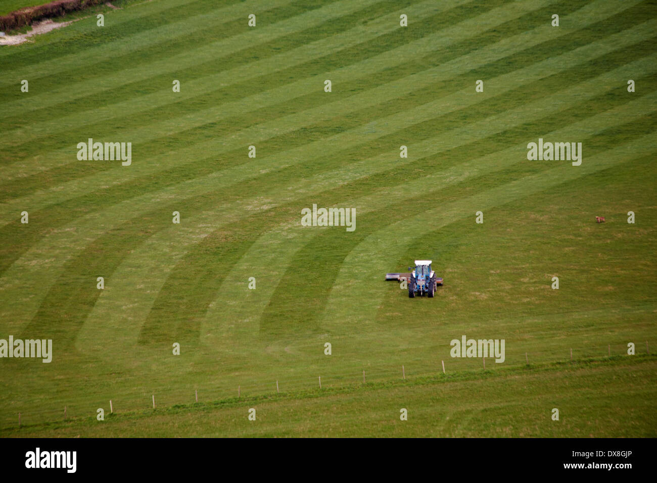 tractor mowing grass in field at Dorset in March Stock Photo Alamy