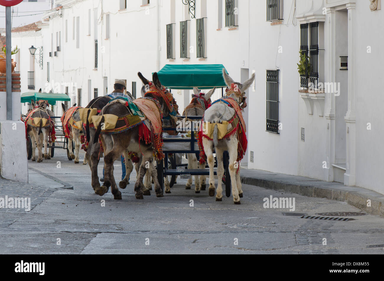Spanish man and donkey hires stock photography and images Alamy