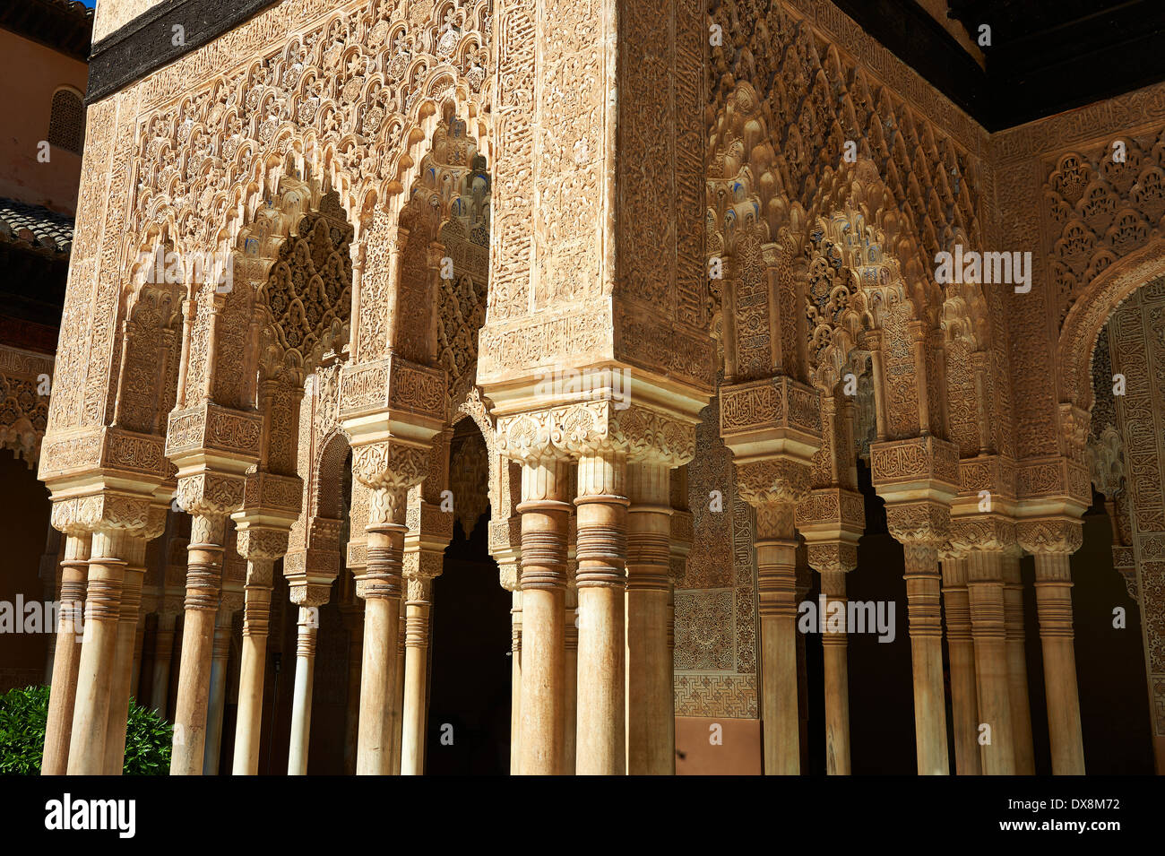 Nasrid mocarabe Arabesque Moorish architecture of the Court of the Lions of the Palacios Nazaries, Alhambra. Granada, Stock Photo