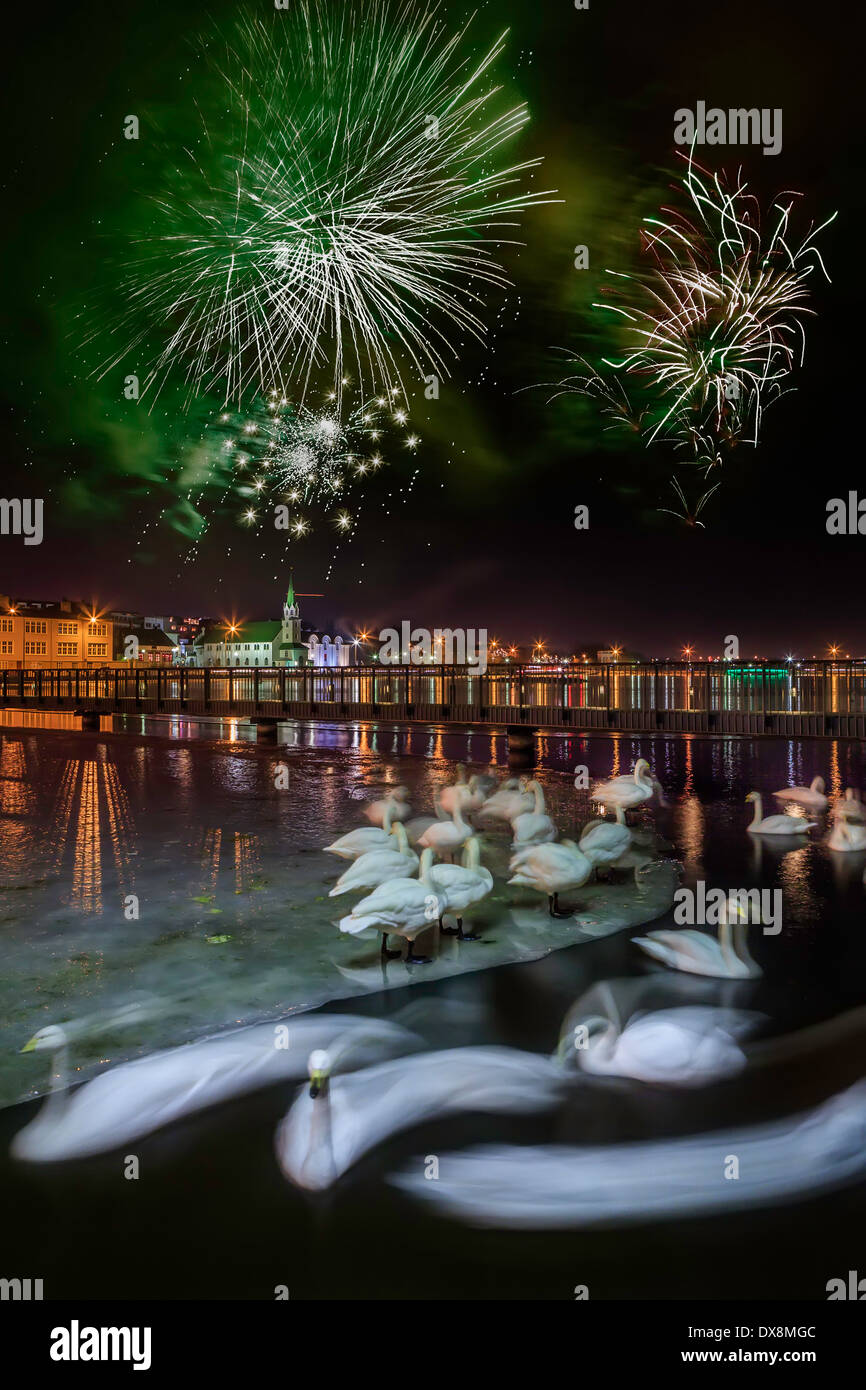 Fireworks on New Year's Eve over the pond in Reykjavik, Iceland Stock Photo