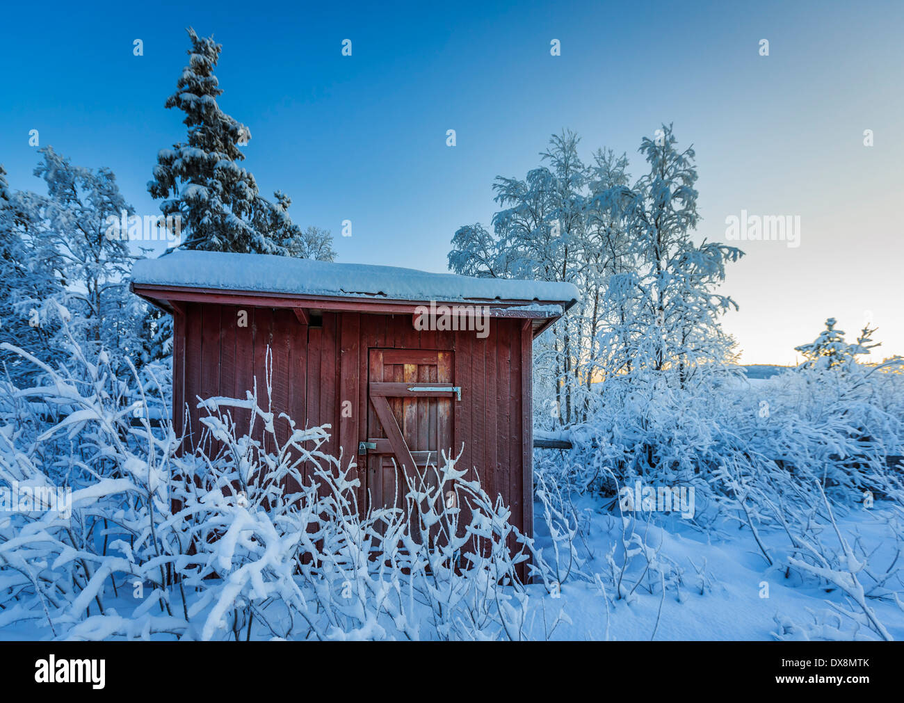 Snow covered trees in extreme cold temperatures, Lapland, Sweden Stock