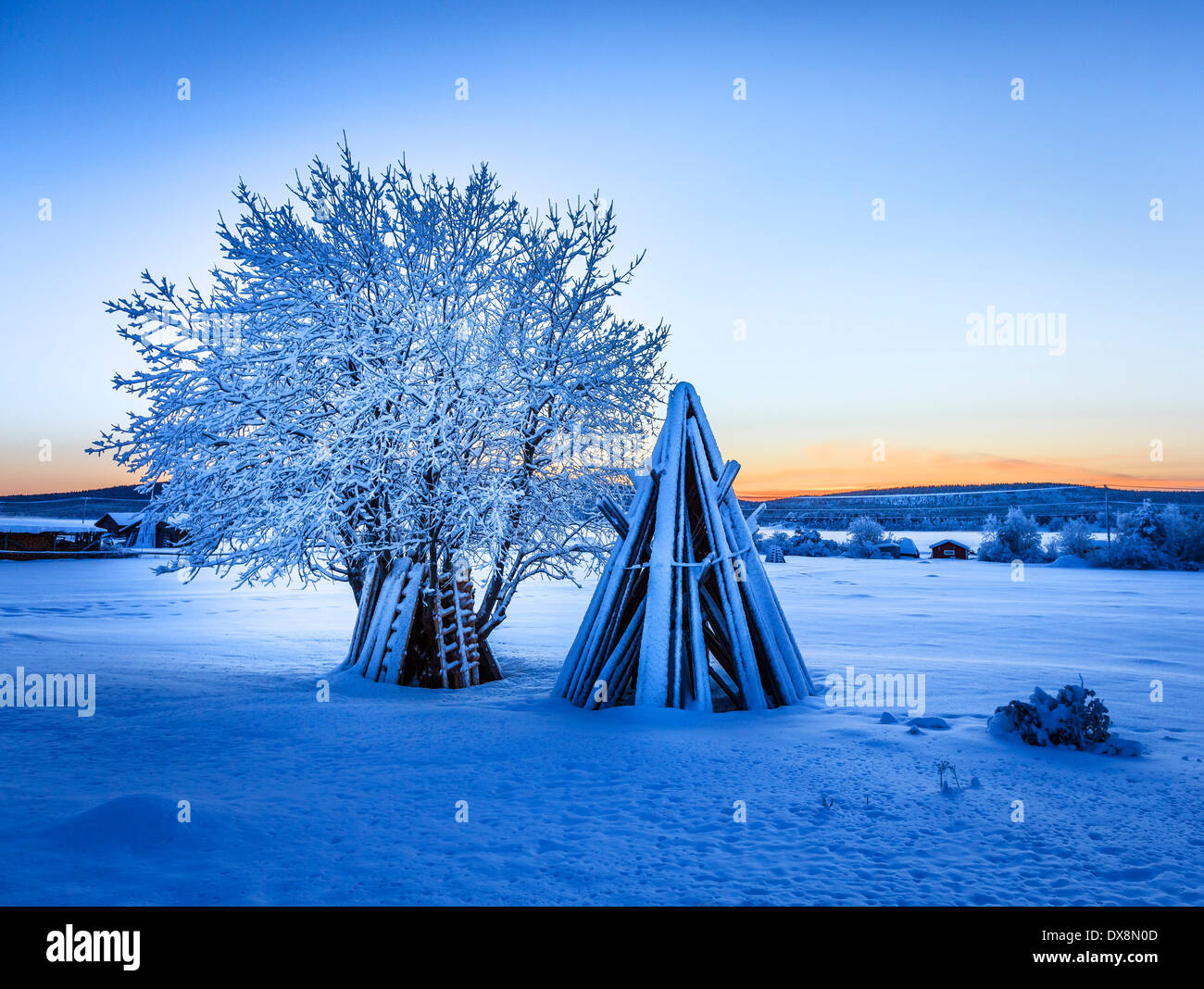 Wood stacked and a snow covered tree in extreme cold temperatures