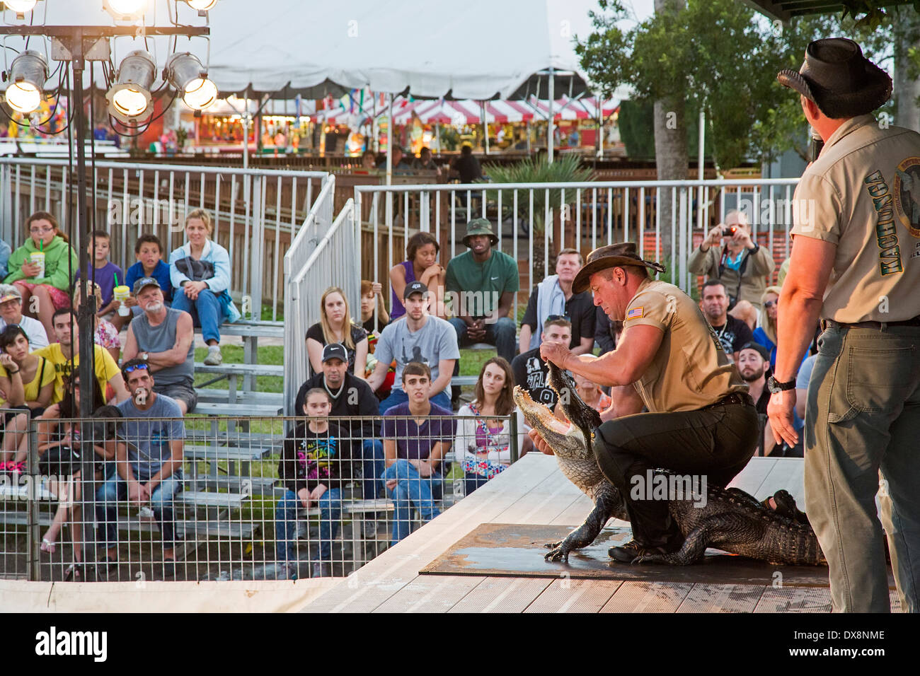 Tampa, Florida - The Kachunga Alligator Show at the Florida State Fair. Stock Photo