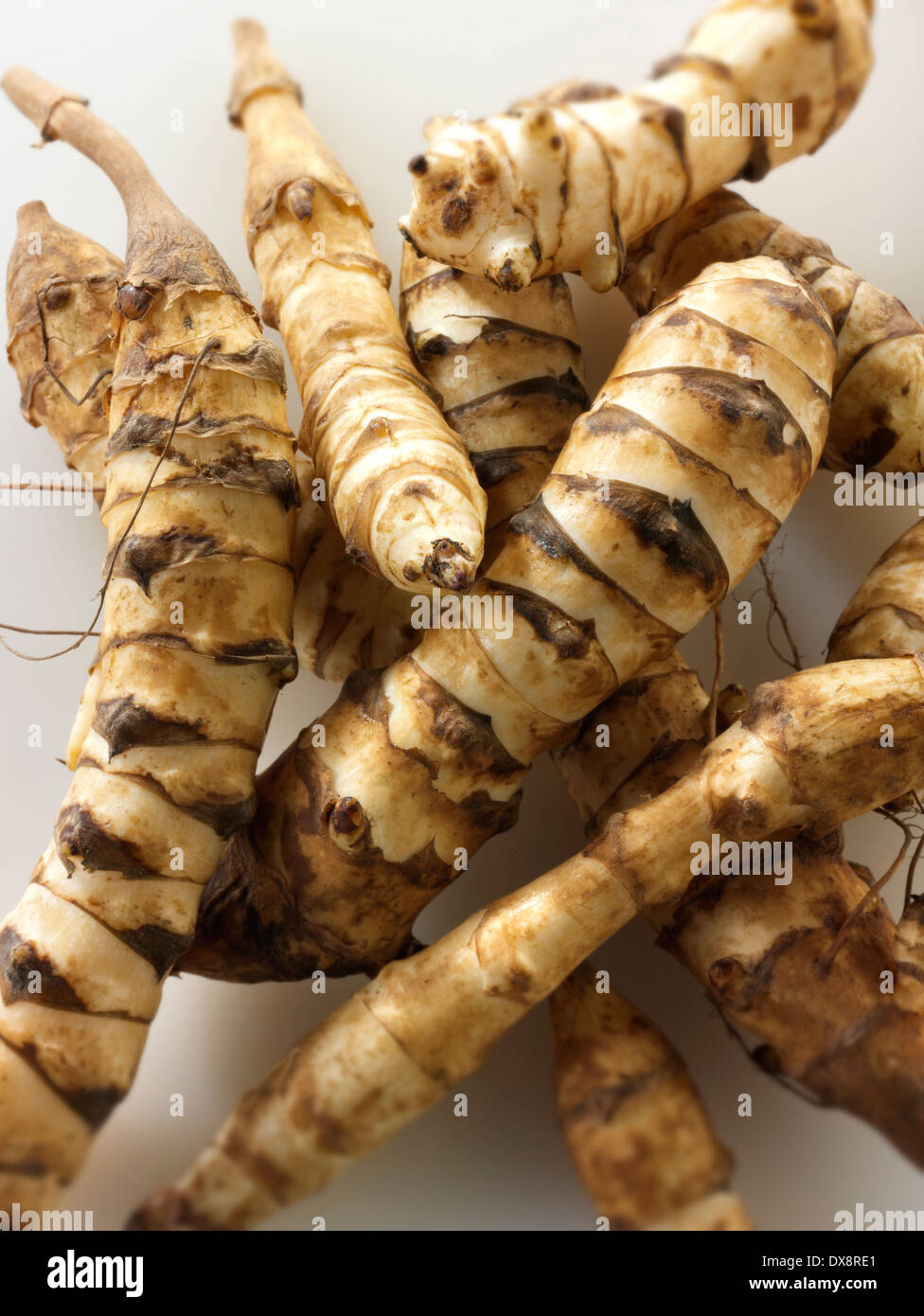Fresh Whole Jerusalem Artichokes Stock Photo Alamy