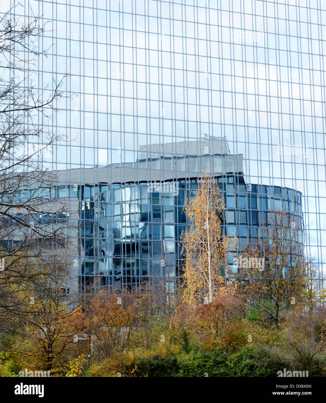 Reflection in the glass facade of a modern office building Stock Photo ...