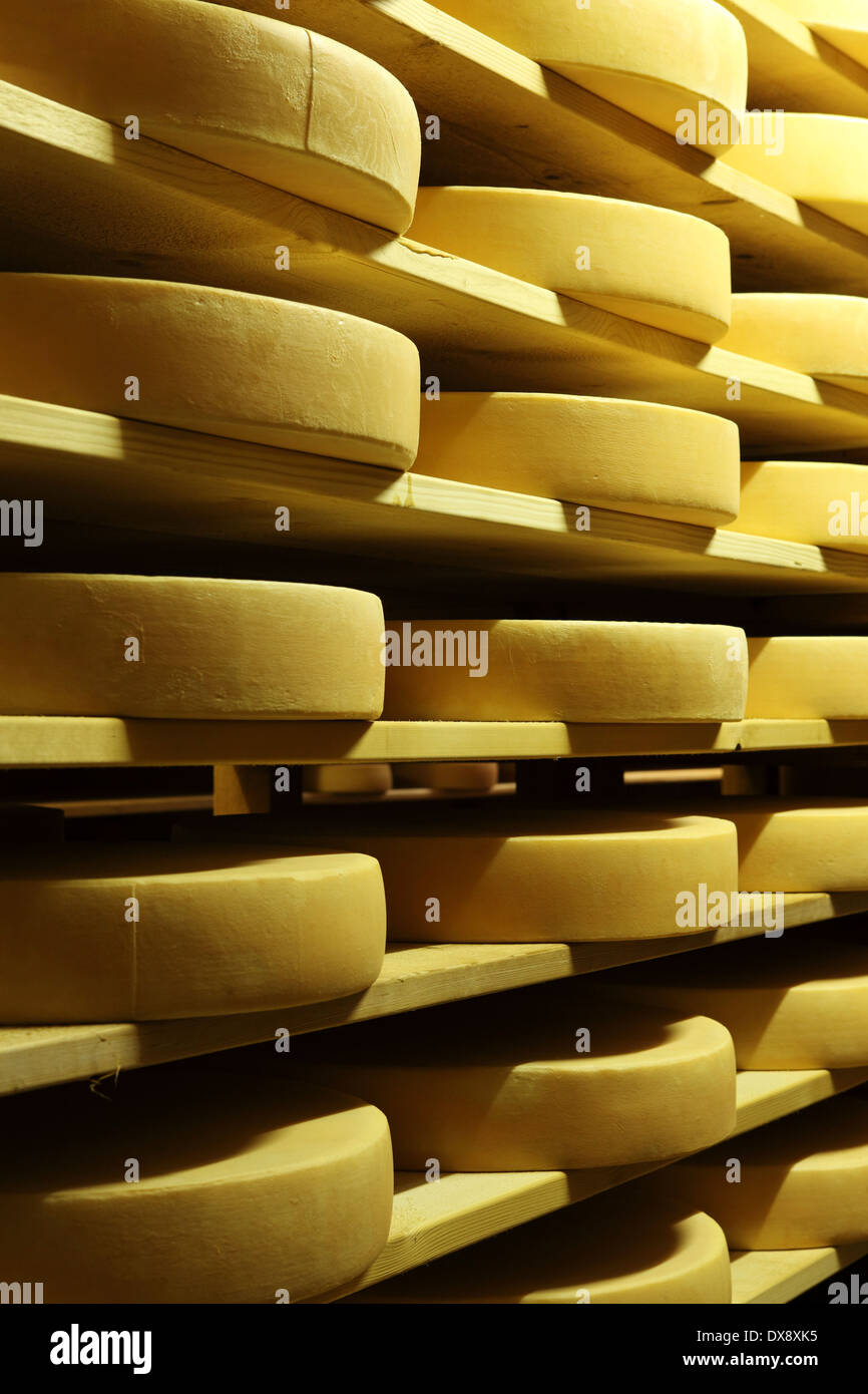 Wheels of mountain cheese ripening at La Maison de L&rsquo;Etivaz in Etivaz