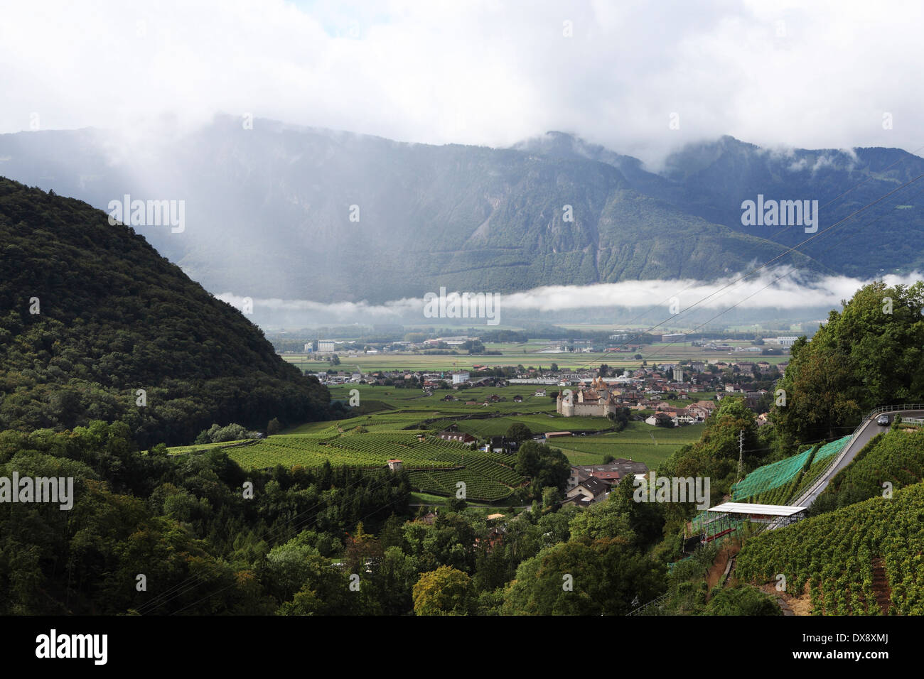 Vineyards in the Rhone Valley near Villars-sur-Ollon, Switzerland. Stock Photo