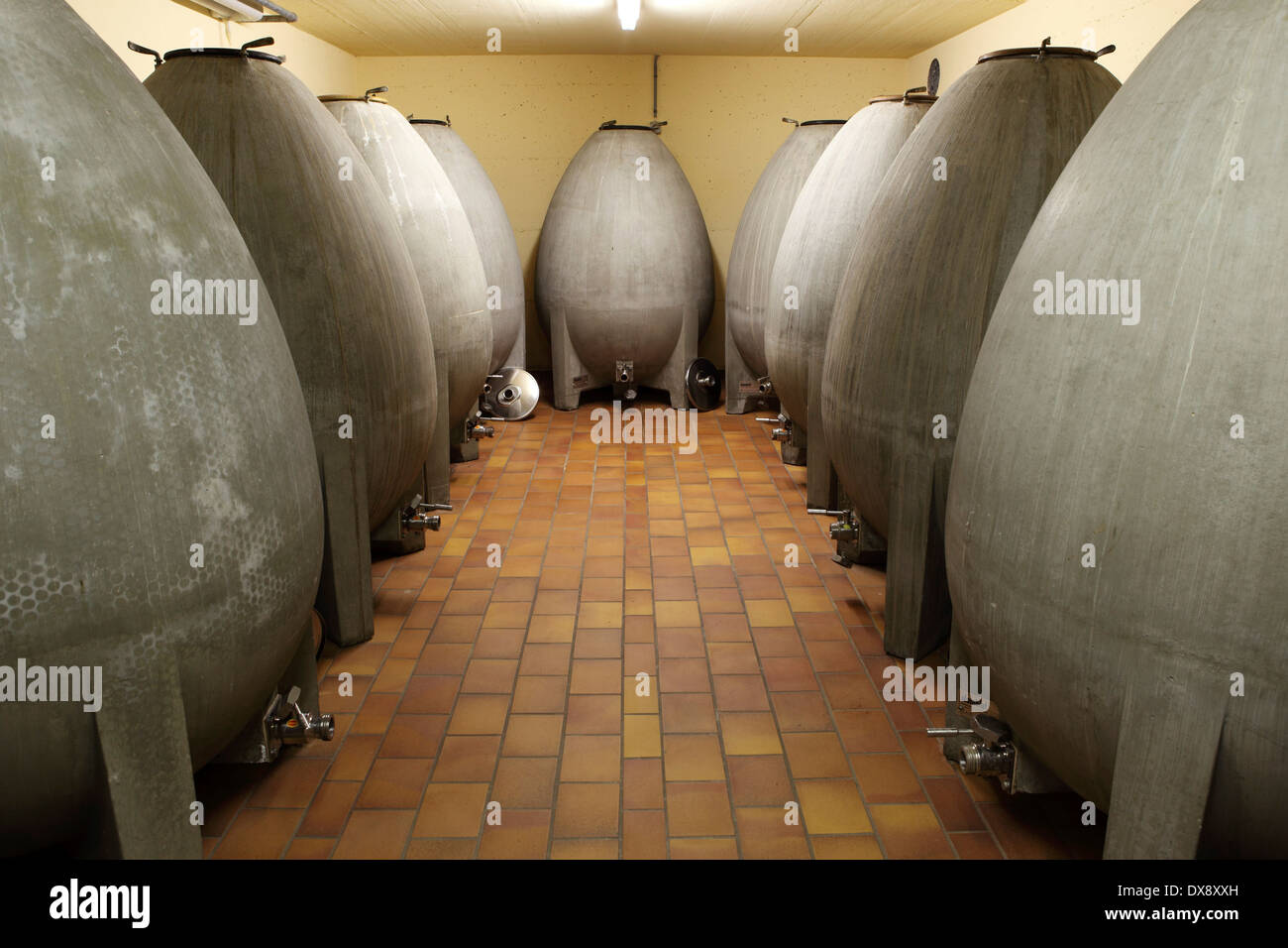 Concrete eggs used in the winemaking process at Bernard Cavé Vins in