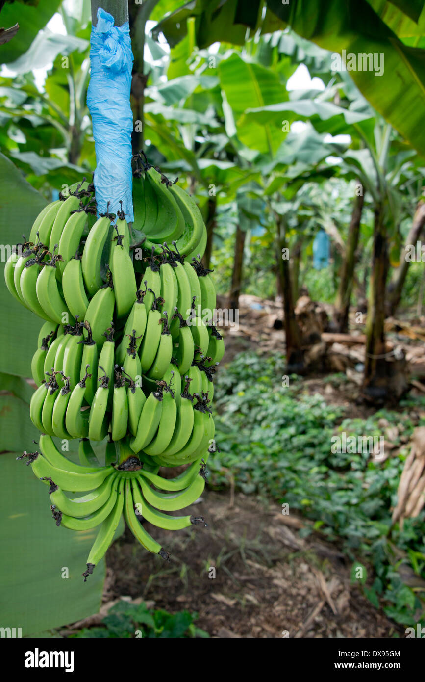 Gozal erotik filmlar onlayn