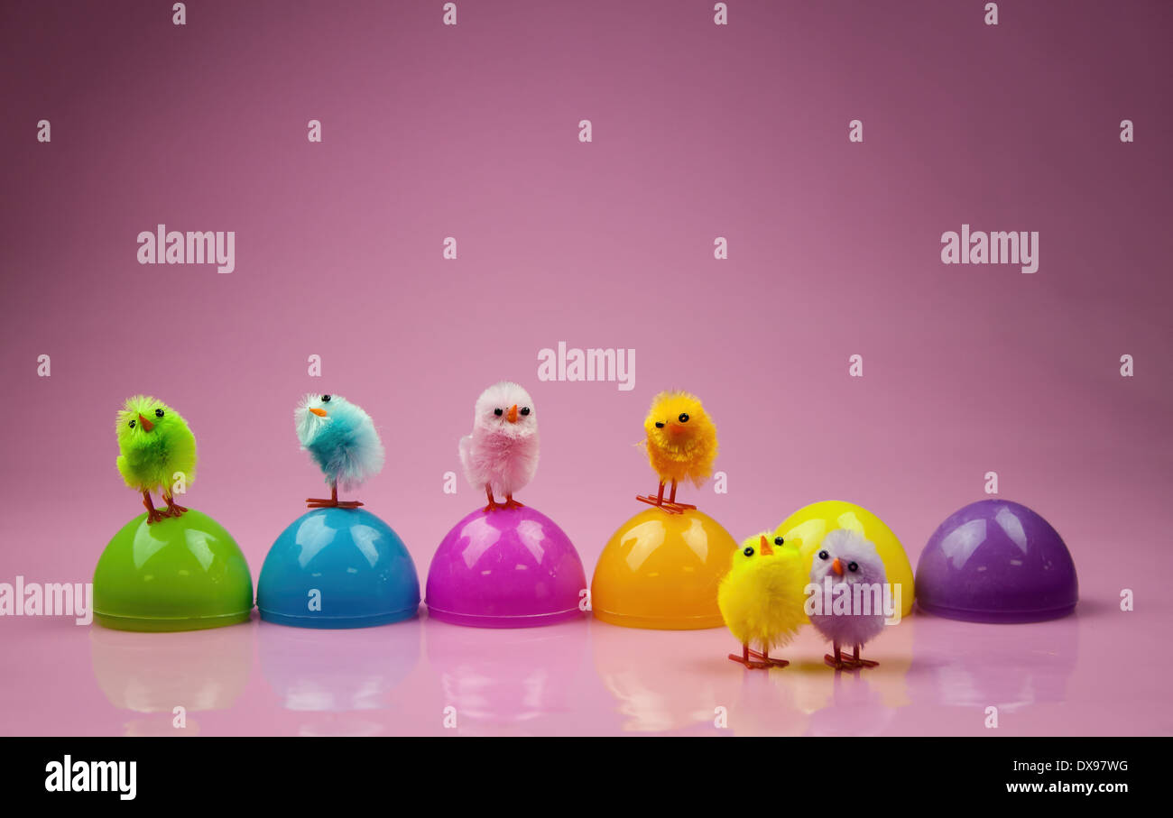 Six Plastic Easter Egg shells on a glossy pink background. cute colorful Easter design with six colorful toy chicks for Easter Stock Photo