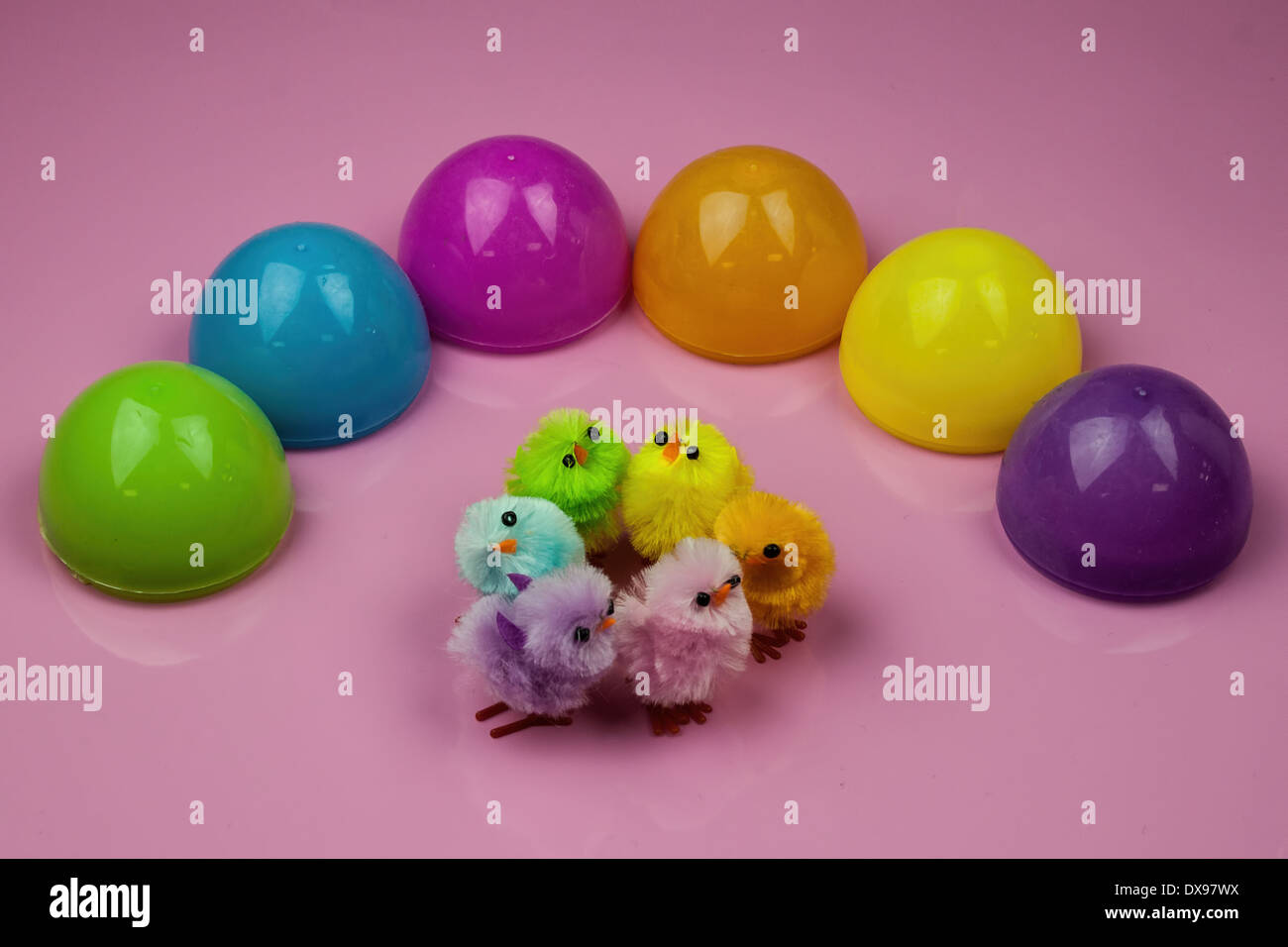 Six Plastic Easter Egg shells on a glossy pink background. cute colorful Easter design with six little toy Chicks Stock Photo