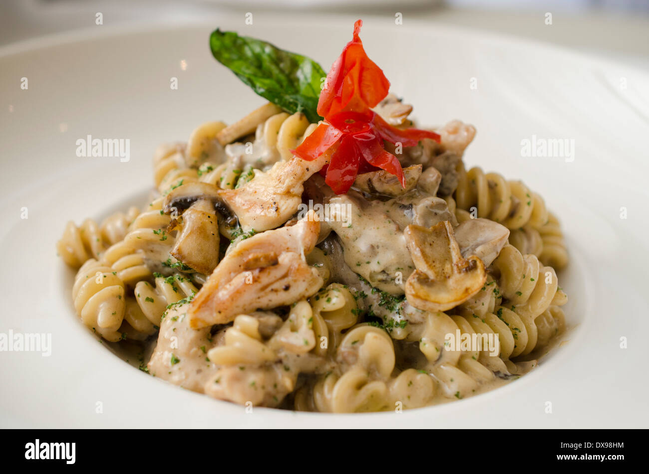 Fusilli (pasta) cooked al dente, in a creamy sauce with mushrooms and chicken, garnished with fried basil and a cherry tomato. Stock Photo