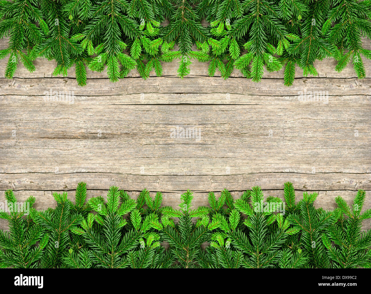fresh christmas tree branches over wooden background. green border from