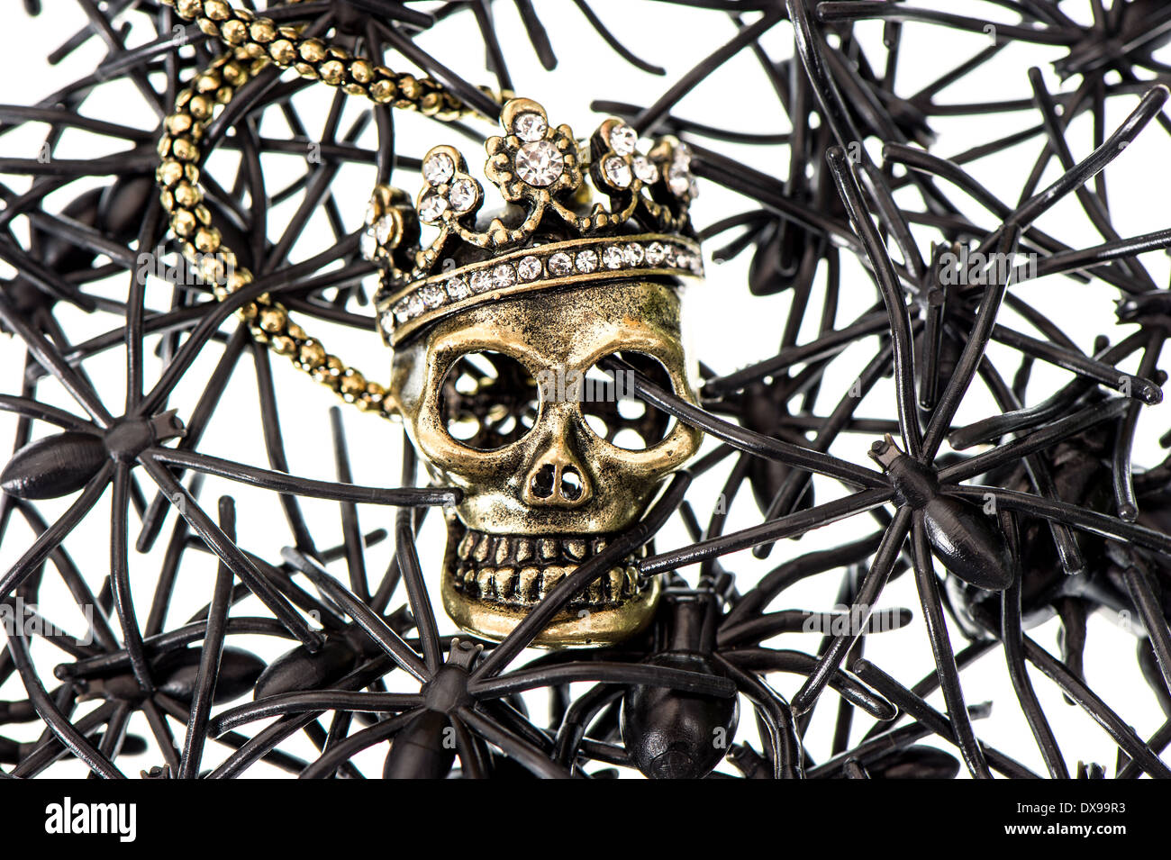 skull with many black spider and beetle. halloween background Stock Photo
