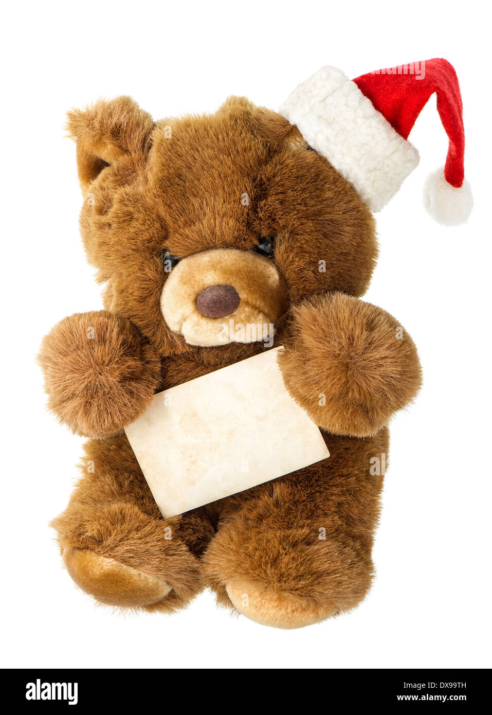 teddy bear with santa hat