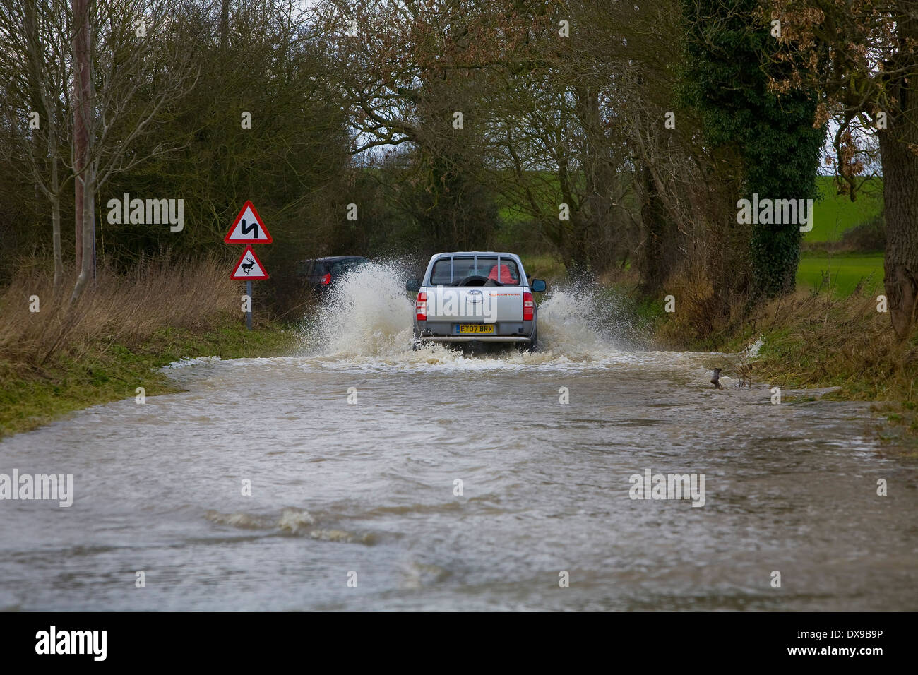 Cars struggle through Floods water in Steeple Bumpstead Essex today after heavy overnight rain 07/02/2014 Pic George Impey Stock Photo