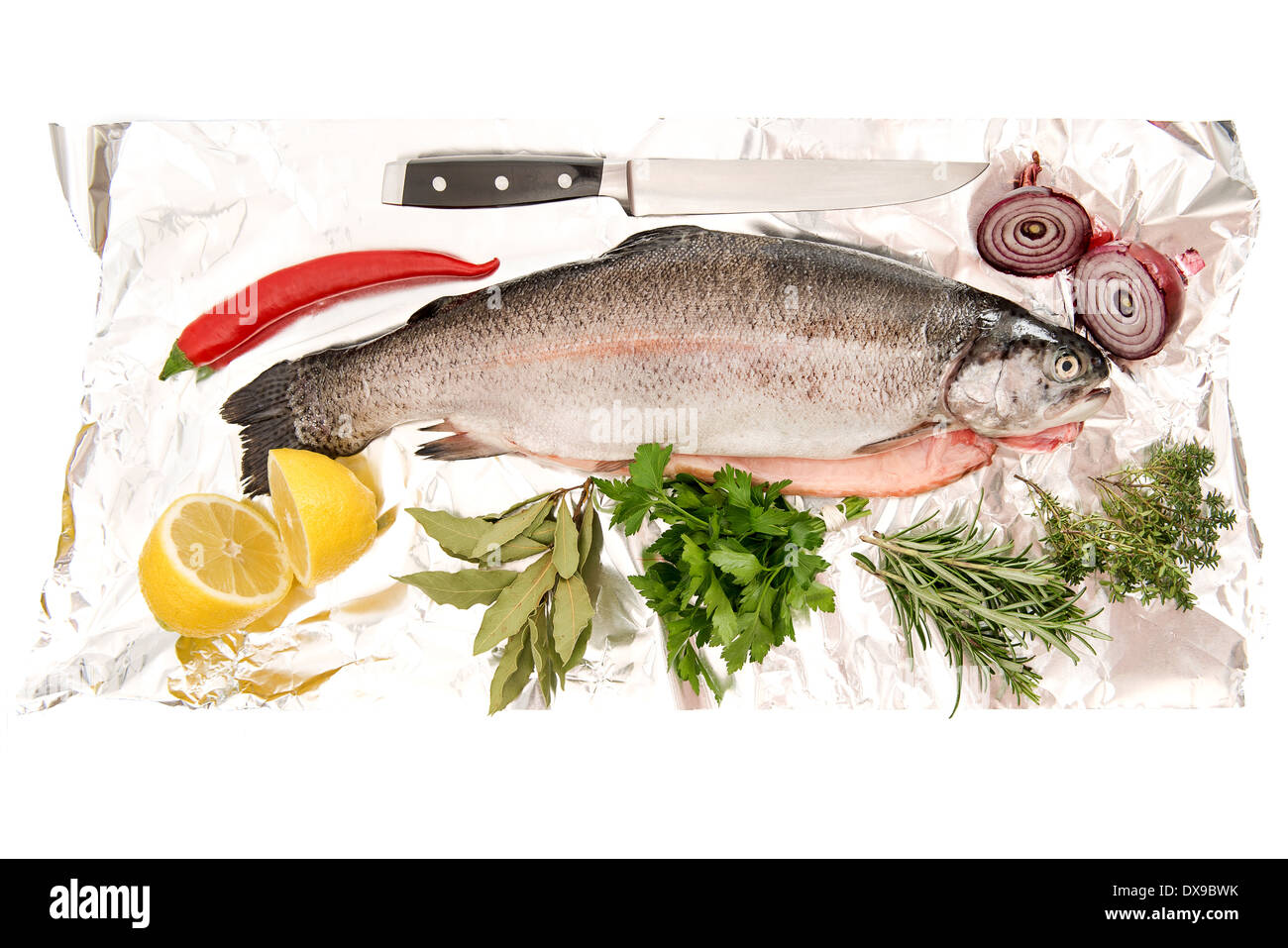 raw salmon trout fish with fresh herbs and spices on foil background Stock Photo