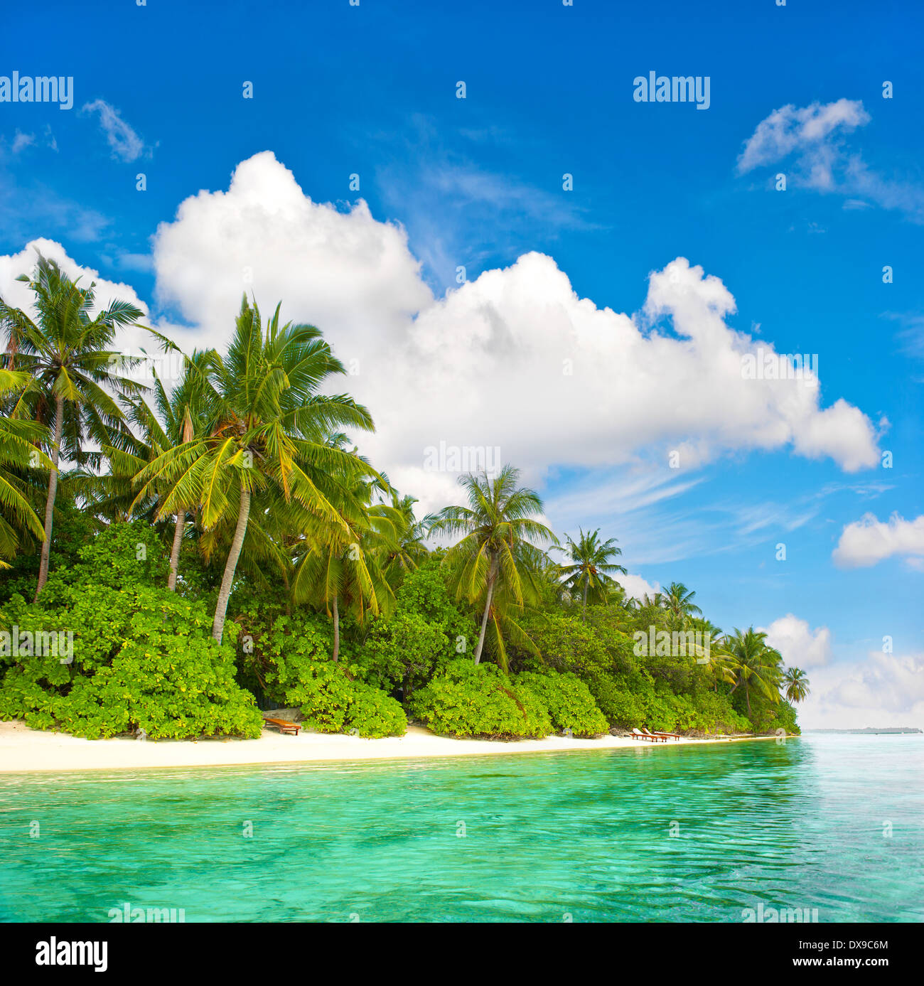 landscape of tropical island beach with palm trees and cloudy blue sky Stock Photo