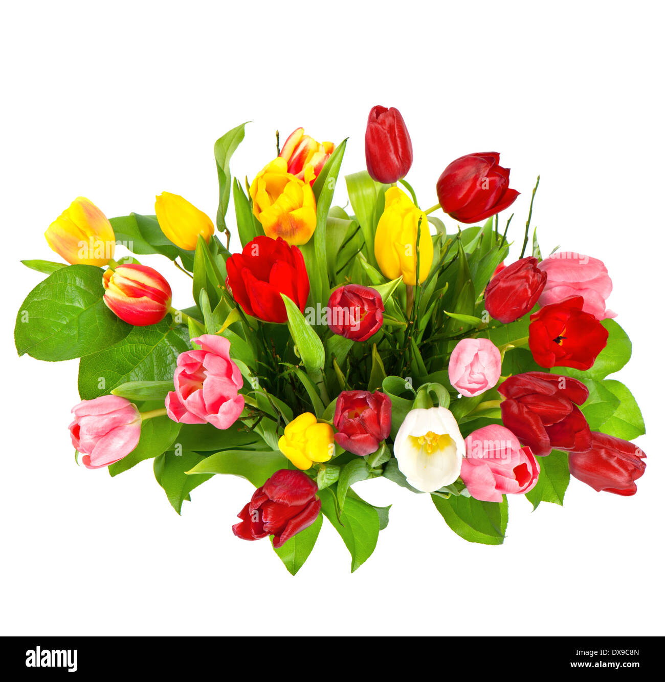 colorful bouquet of fresh tulips isolated on white background Stock ...