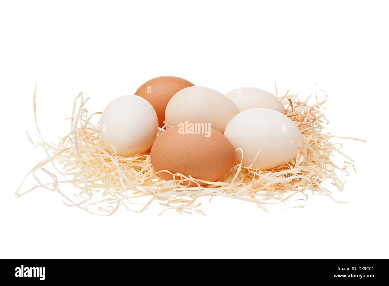 Eggs in straw nest isolated on white background Stock Photo - Alamy