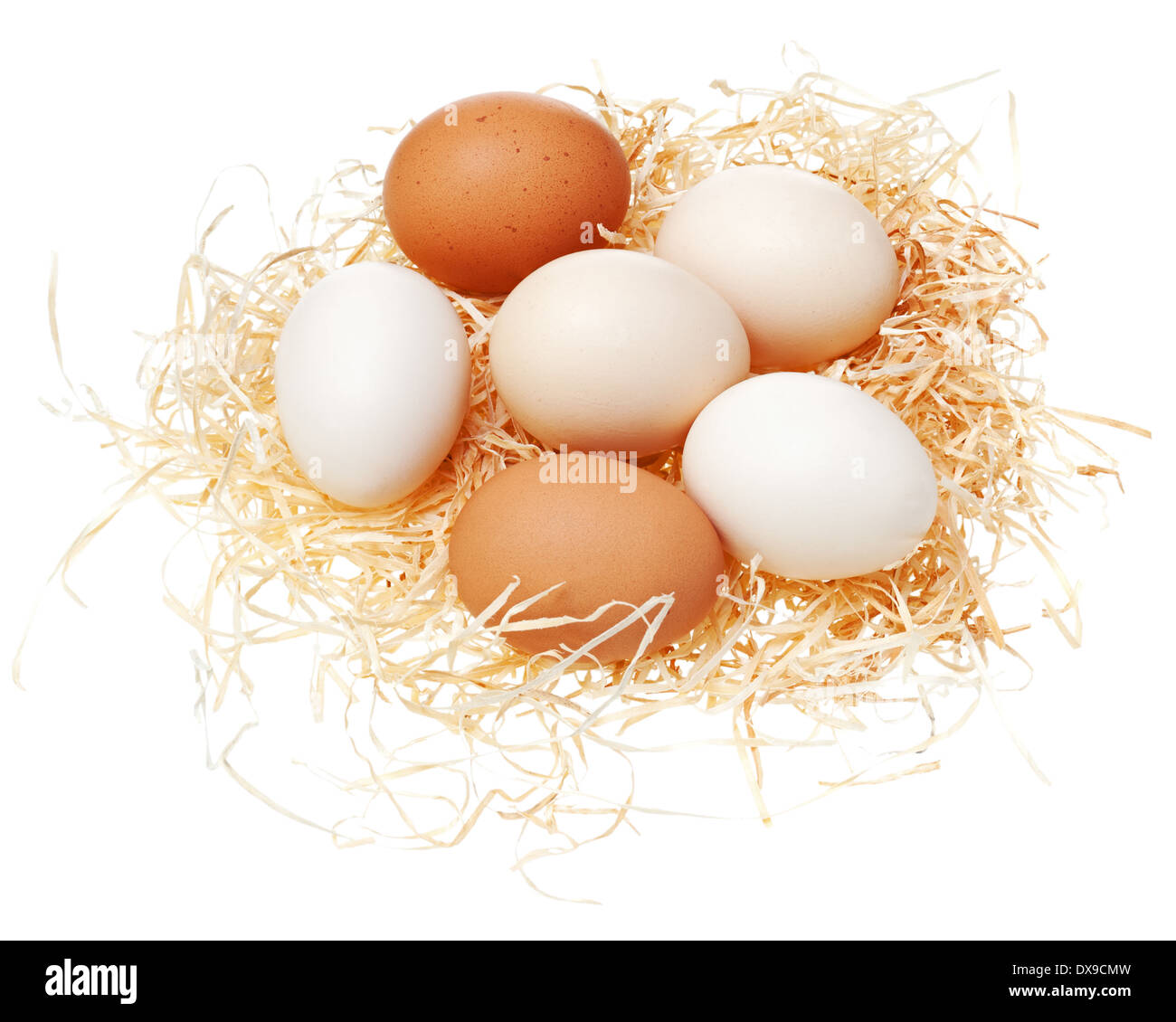 Eggs in straw nest isolated on white background Stock Photo - Alamy