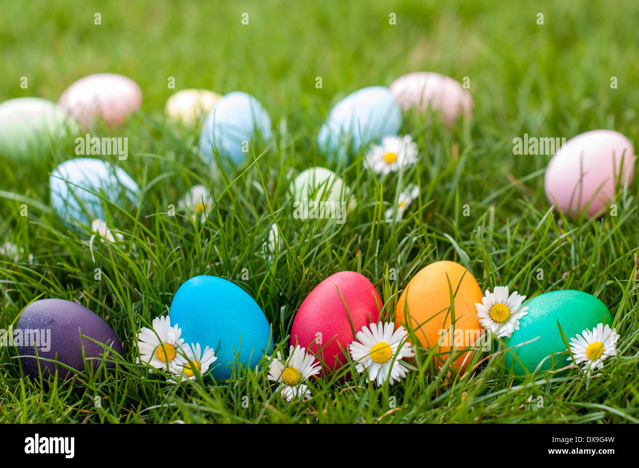 Different color Easter egg on a grass Stock Photo