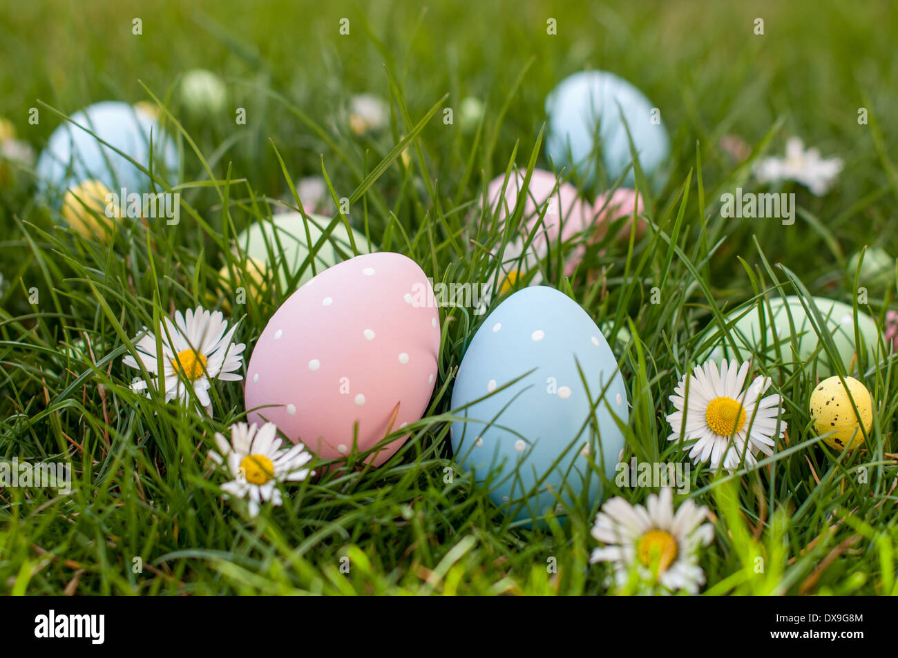 Different color Easter egg on a grass Stock Photo