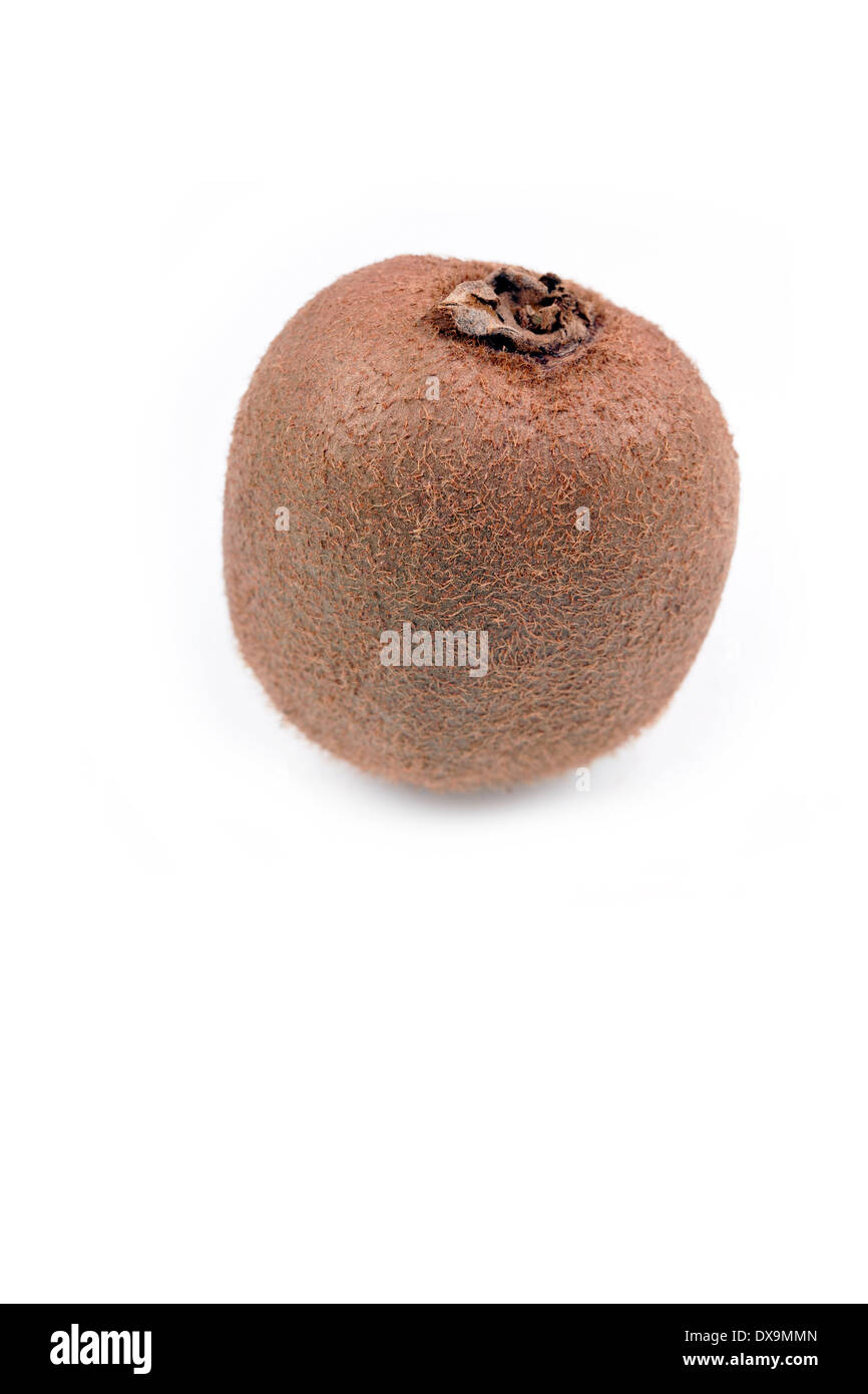 Kiwi fruit on white background with space underneath for text Stock Photo