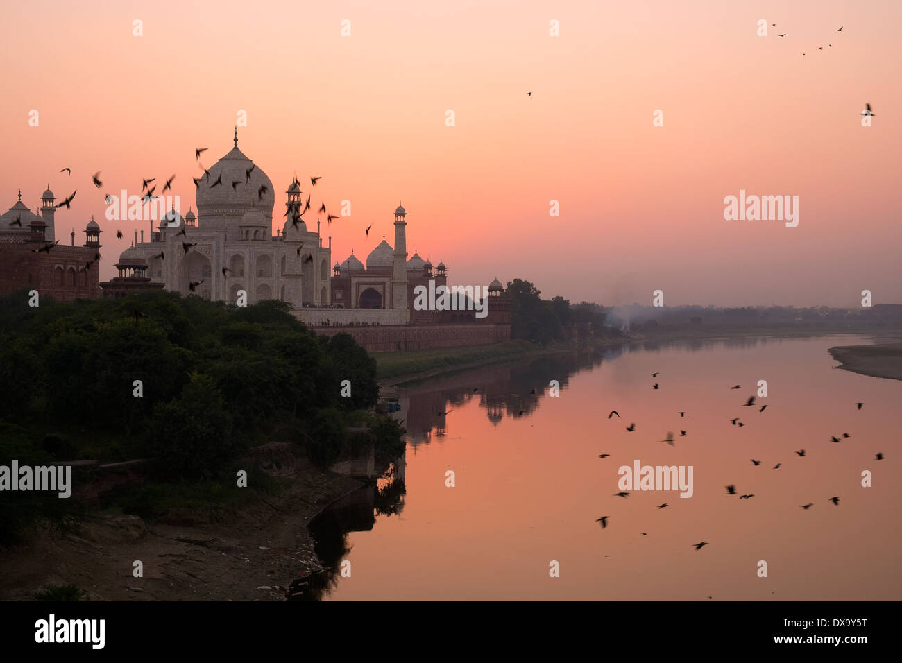 India, Uttar Pradesh, Agra, birds in flight near Taj Mahal at twilight Stock Photo