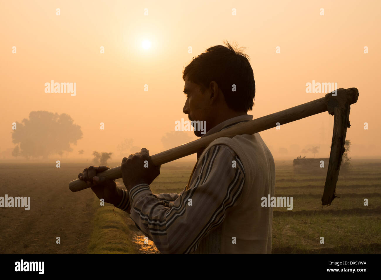 India, Uttar Pradesh, Agra, farmer posing with hoe next to fields at sunrise Stock Photo