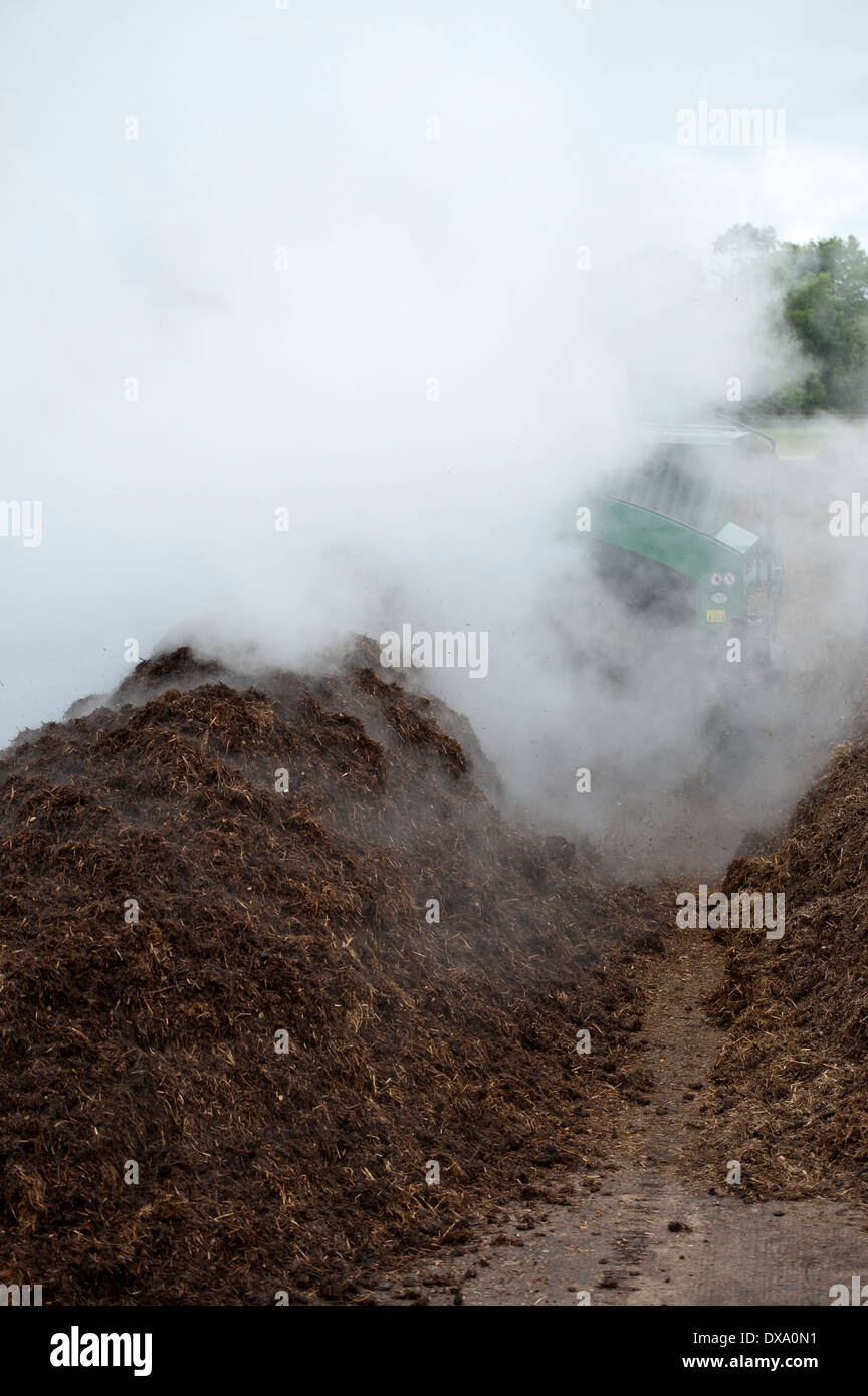 Compost Pile Steam