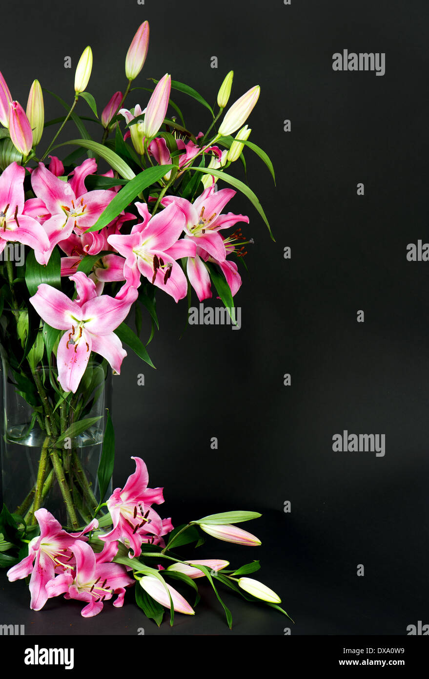 Lily bouquet mourning hi-res stock photography and images - Alamy