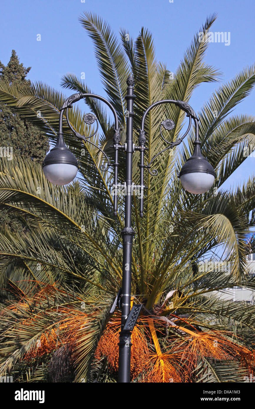 street lamp in front of palm tree in Sochi Stock Photo