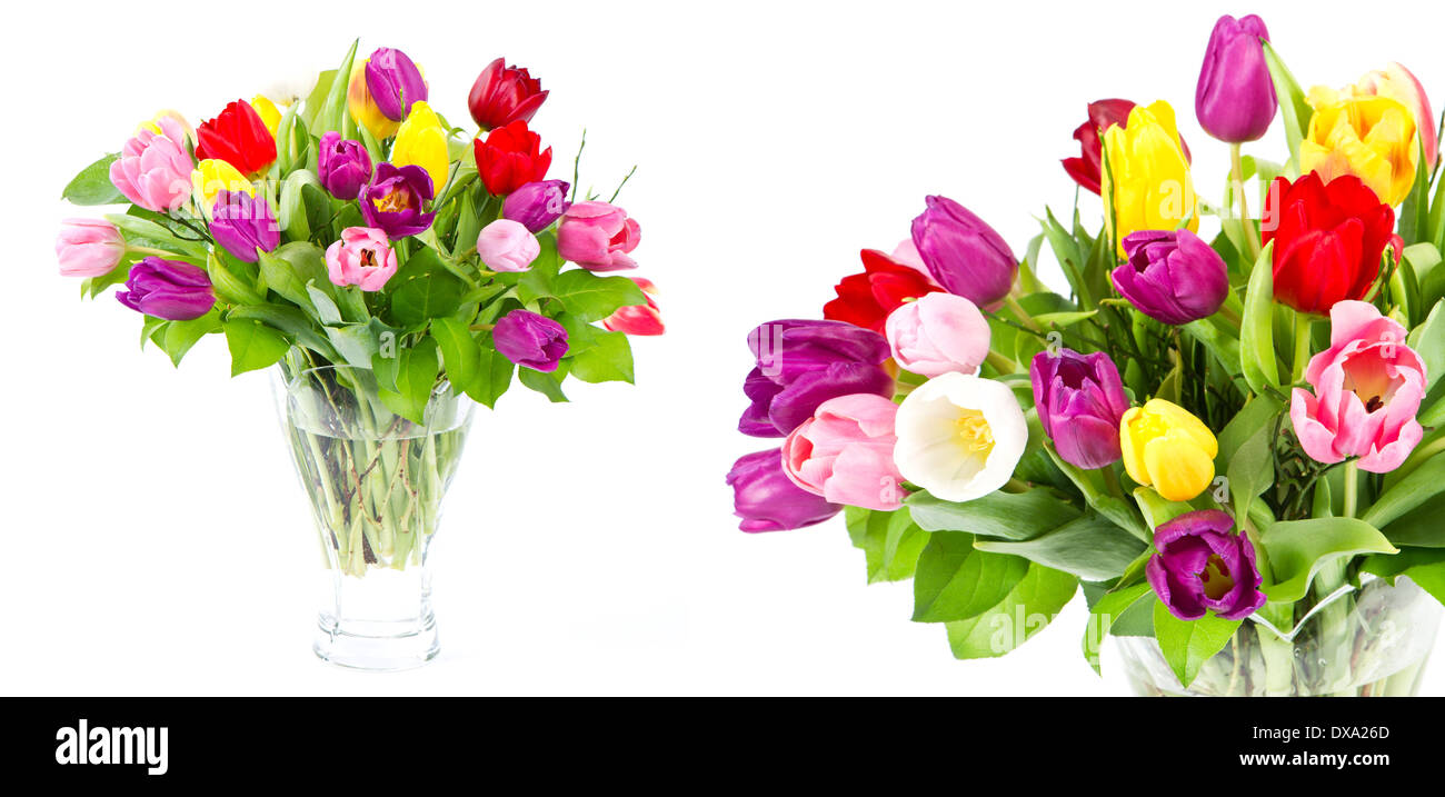 colorful bouquet of fresh tulip flowers. collage Stock Photo - Alamy