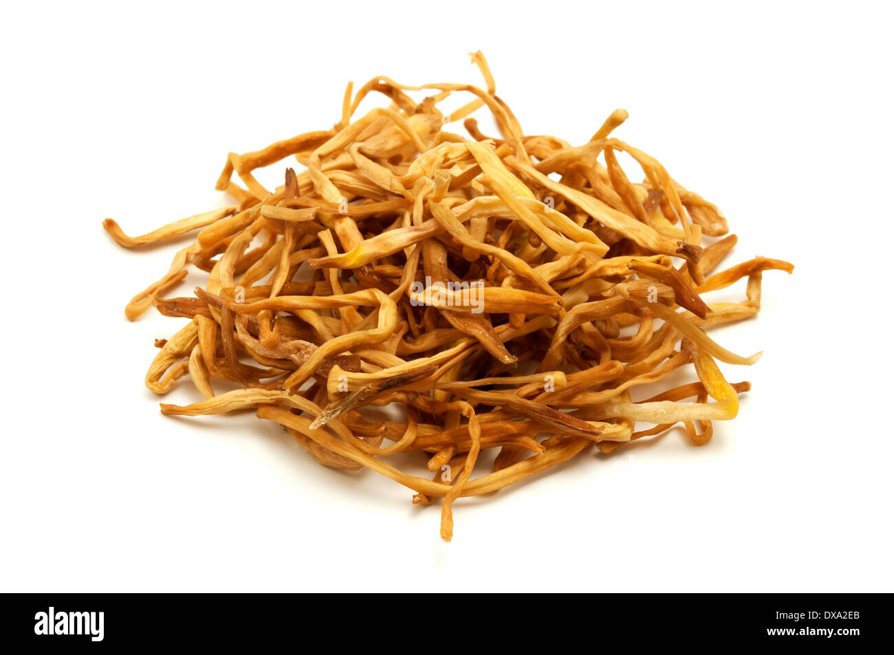 Golden needles (dried lily flowers) on a white background Stock Photo