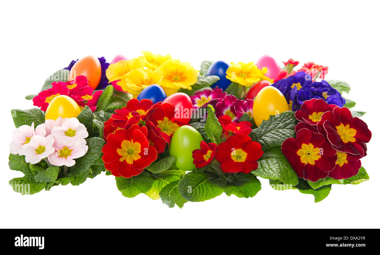 assorted primula flowers with easter eggs Stock Photo